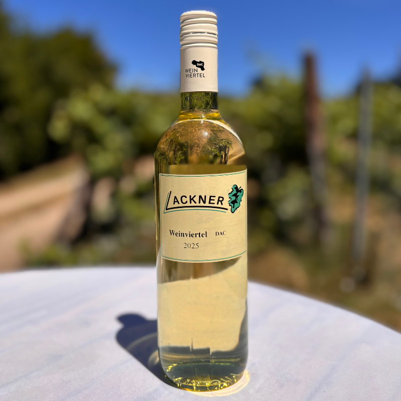 Weinviertel DAC – Hausweingarten 2025