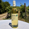 Weinviertel DAC – Veiglberg 2024