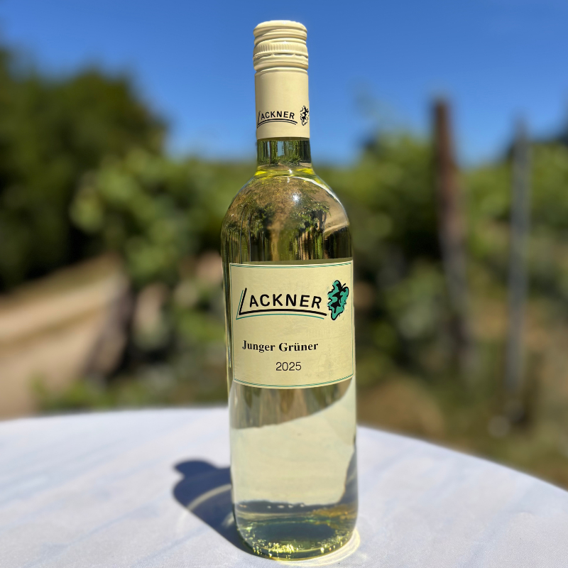 Junger Grüner 2025